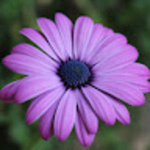 Meet your Posher, Kaiti